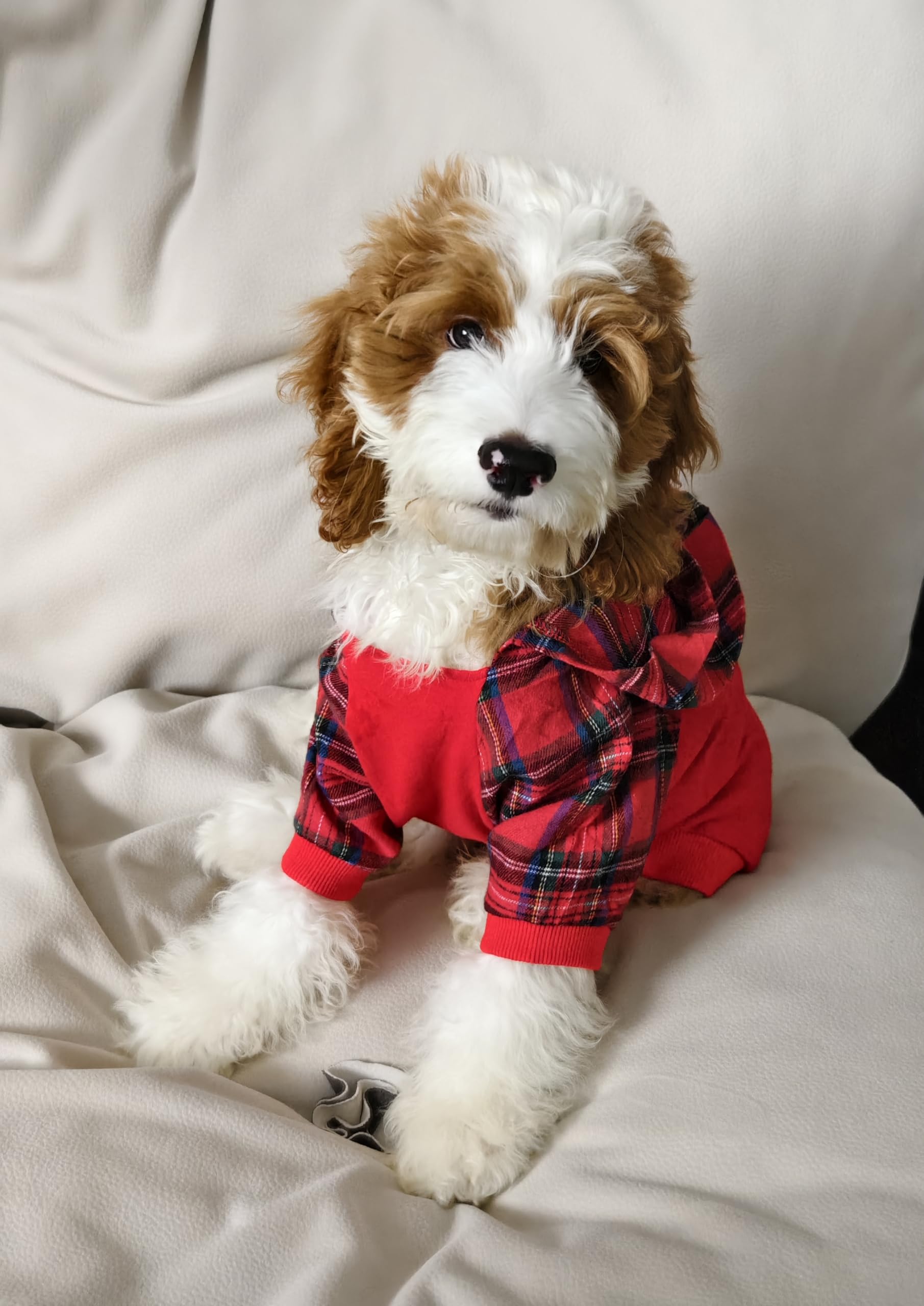 Fitwarm tartan plaid dog hoodie sleeve detail, flexible movement for daily adventures
