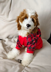 Fitwarm tartan plaid dog hoodie sleeve detail, flexible movement for daily adventures