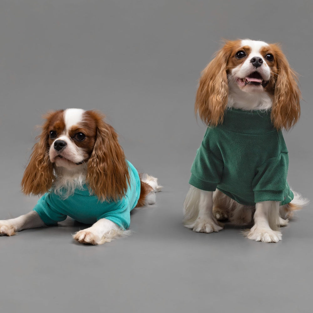 Fitwarm teal-green dog sweater on pet shows soft fleece and comfort.
