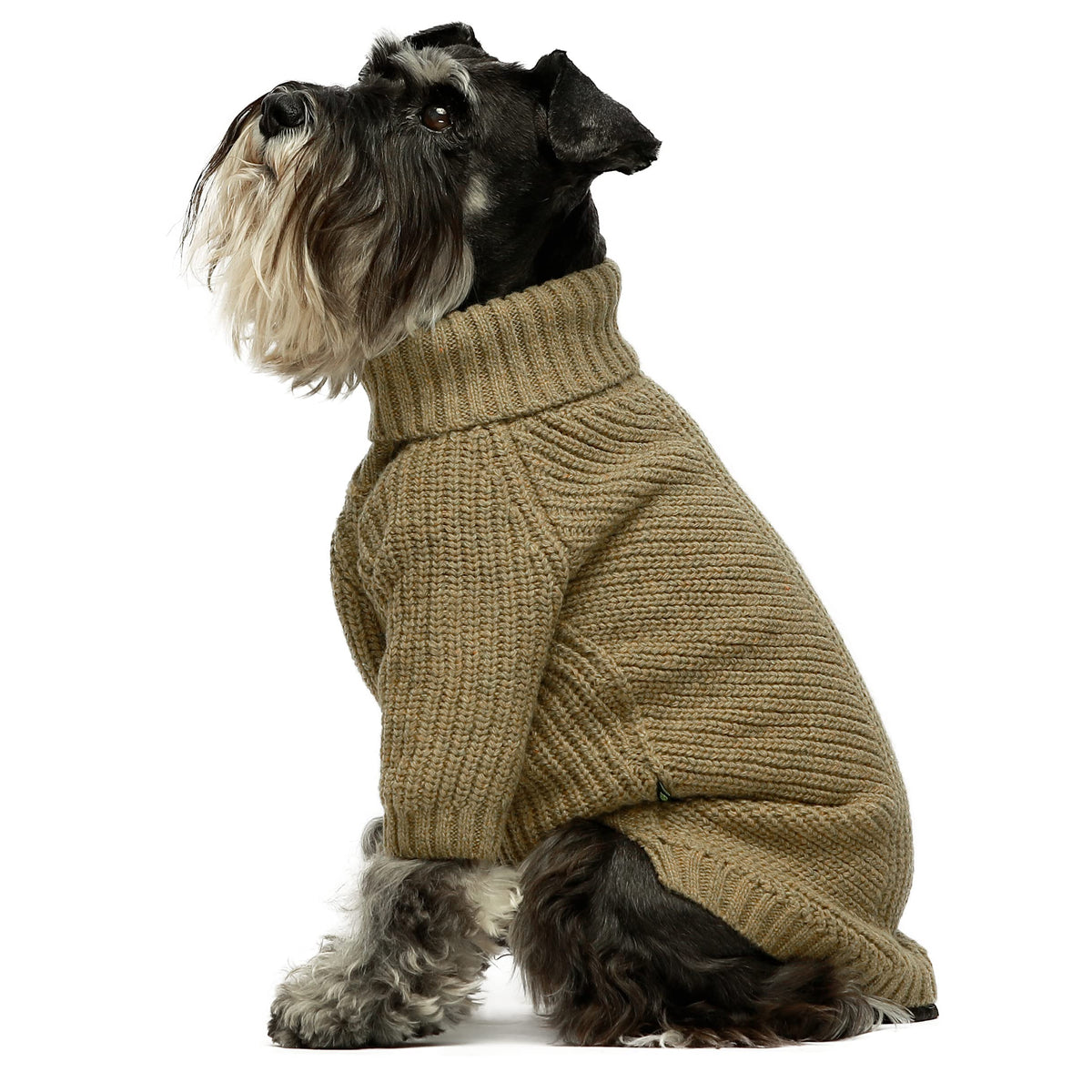 Fitwarm thermal knitted dog sweater front view on a small breed for cold walks
