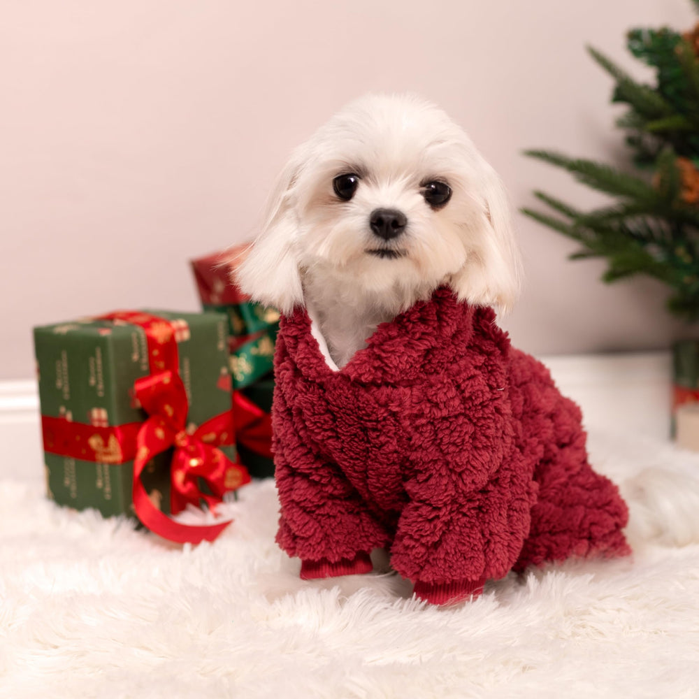 Fitwarm red pajama on dog, easy-on/off design for quick changes.