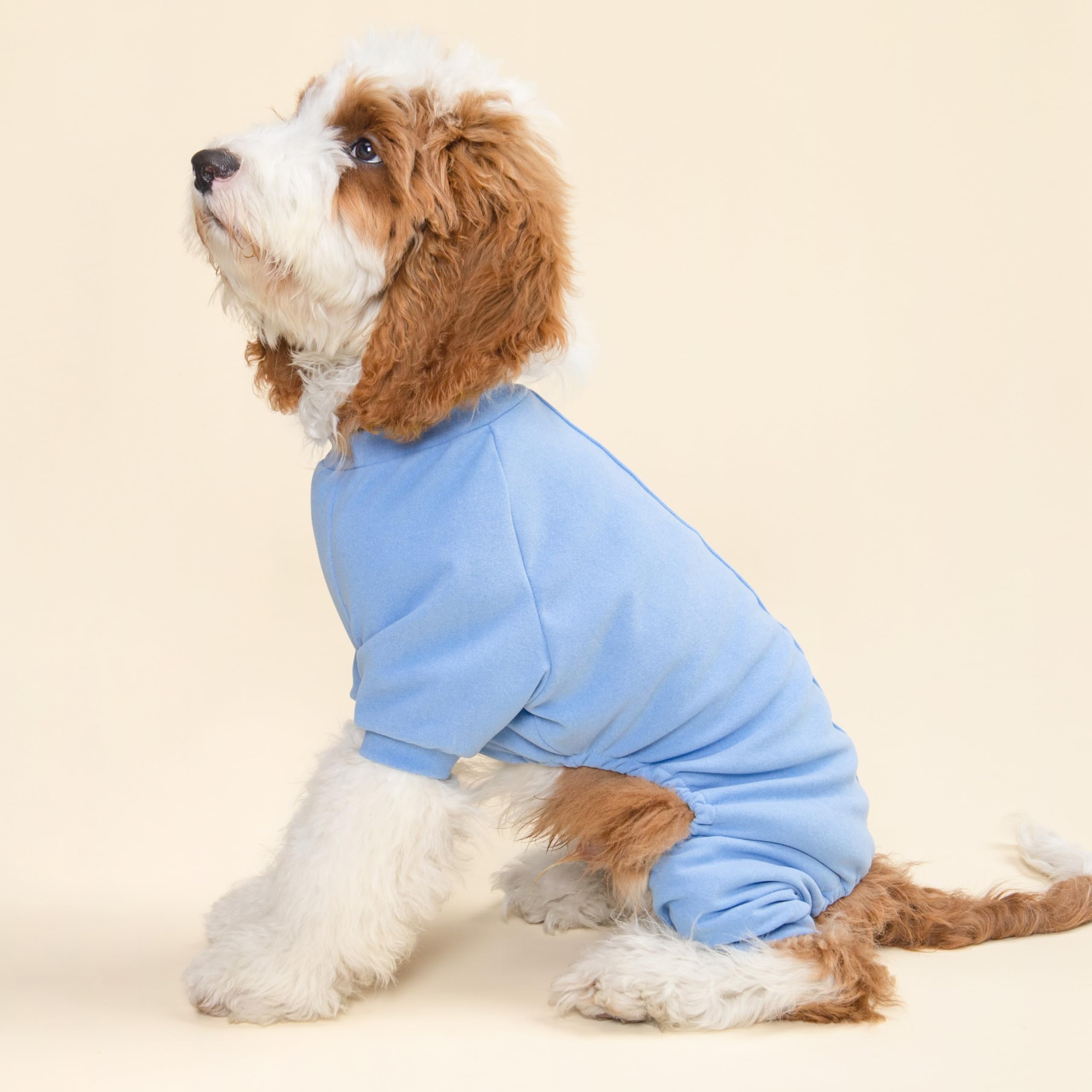 Fitwarm two-pack color options display ideal for chilly days