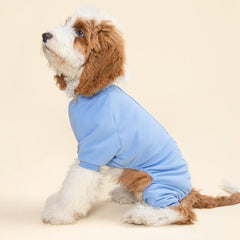 Fitwarm two-pack color options display ideal for chilly days