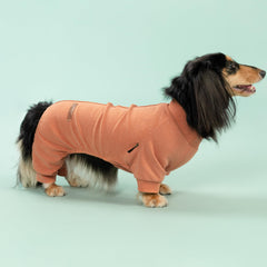 Fitwarm two-pack dog pajamas flat lay shows orange and brown options for festive styling.