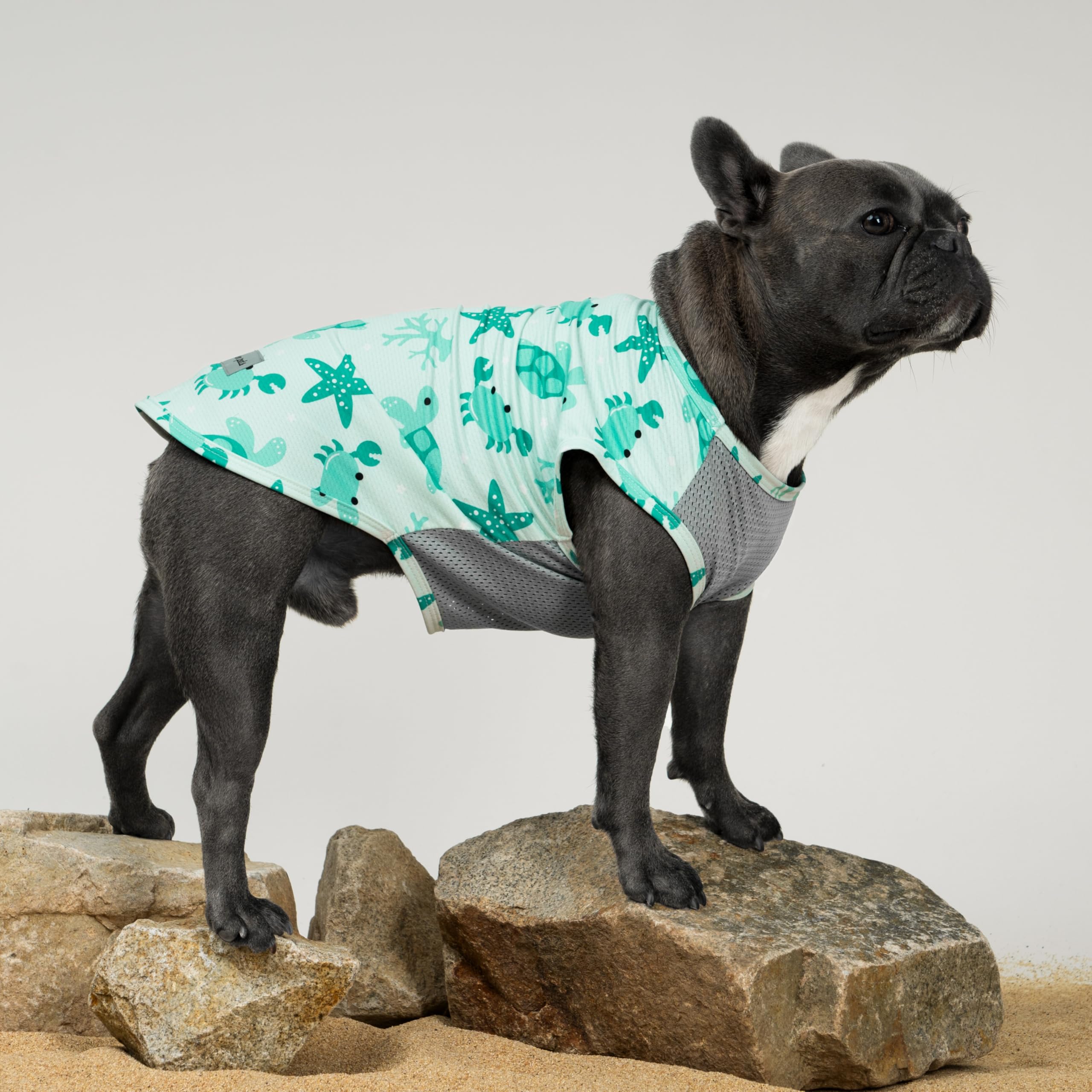 Fitwarm UPF50 dog shirt highlights sun protection for sunny walks.