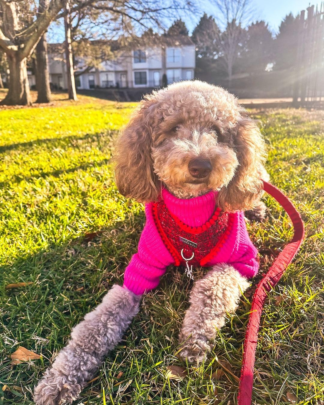 Fitwarm Valentines dog turtleneck sweater side view emphasizing soft breathable knit