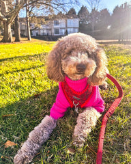 Fitwarm Valentines dog turtleneck sweater side view emphasizing soft breathable knit