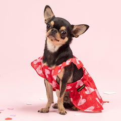 Fitwarm Valentine Heart Dress back view highlighting heart pattern and easy slip-on for daily walks