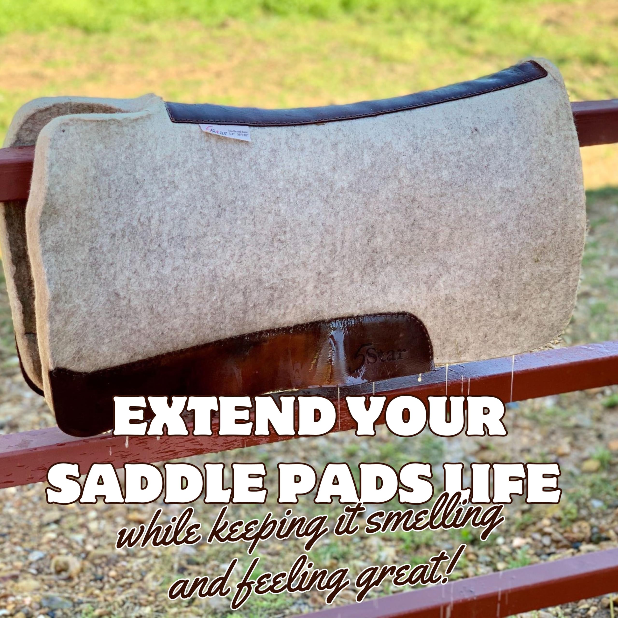 5 STAR EQUINE Saddle Pad Cleaner blanket cleaning on a horse blanket