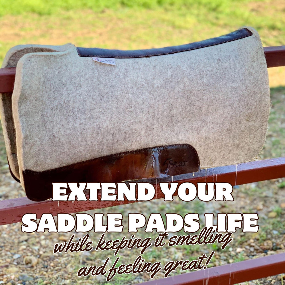 5 STAR EQUINE Saddle Pad Cleaner blanket cleaning on a horse blanket