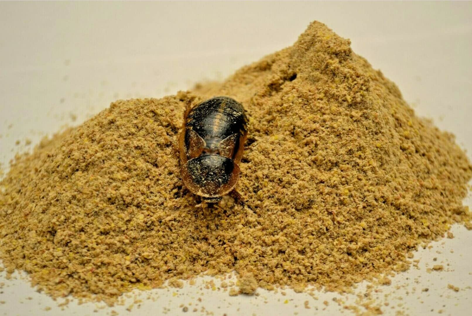Five-Star Feeders water crystals 1mm granules expand for easy hydration.