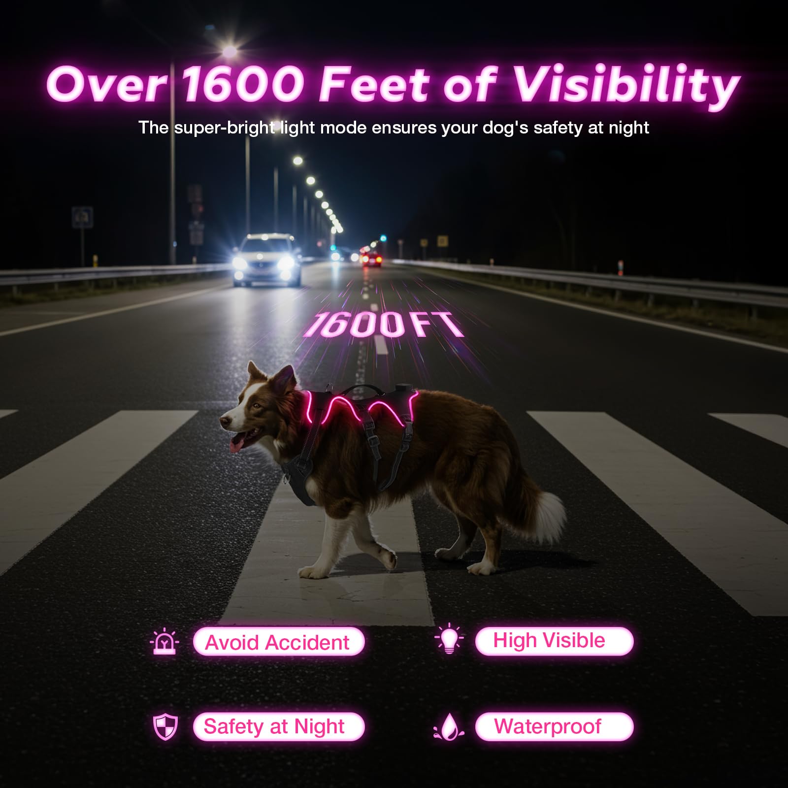 Fiveda light up dog harness at night demonstrates enhanced safety for evening walks.