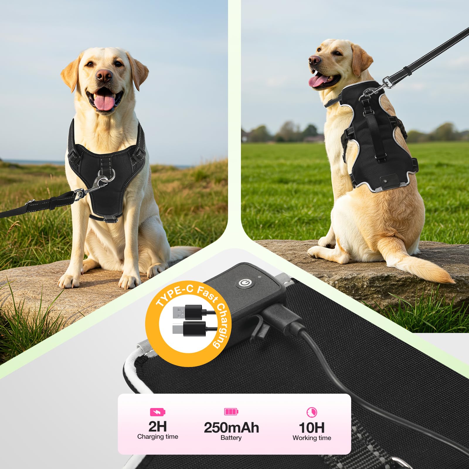 Fiveda light up dog harness six-point adjustment shows easy size fitting.