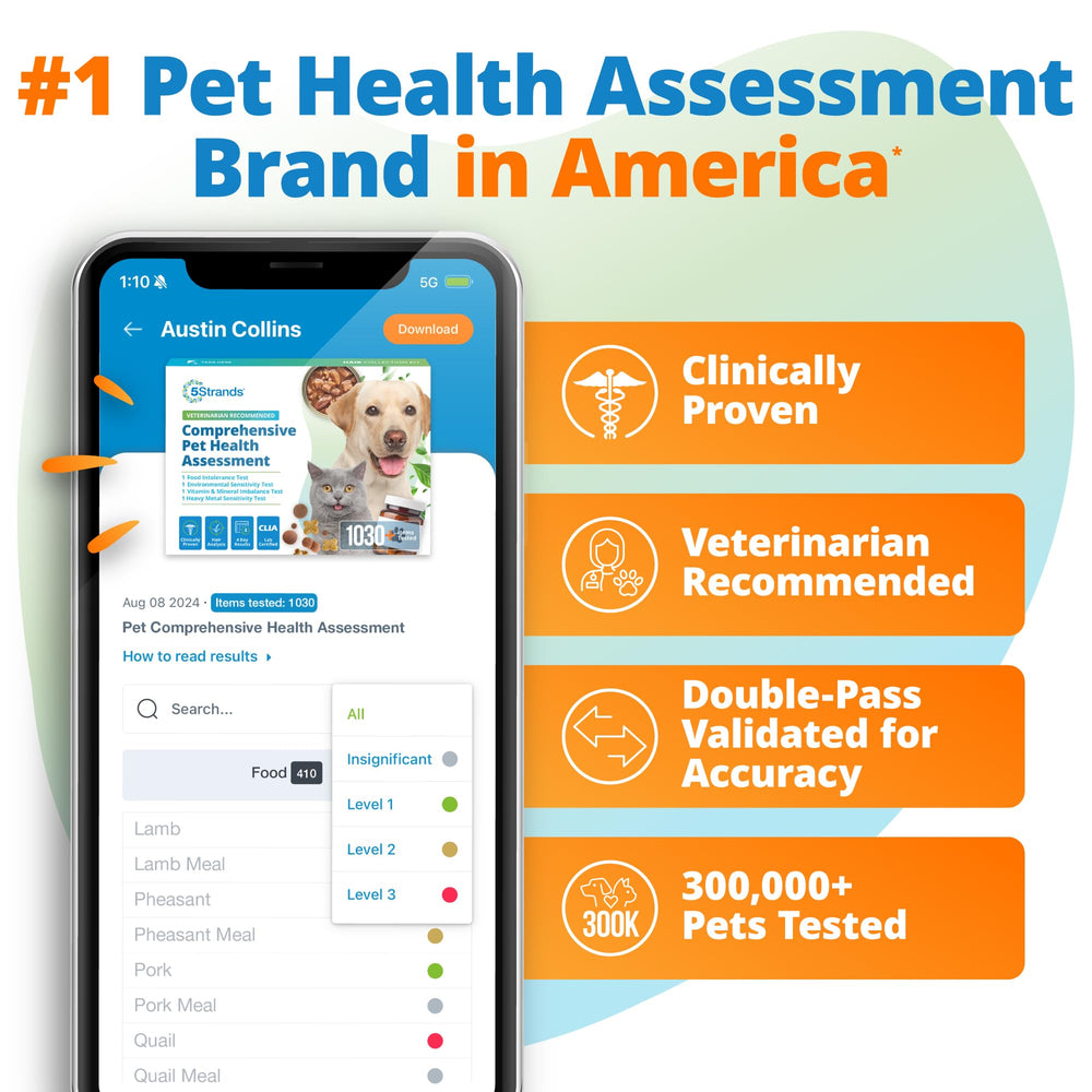 5Strands lab results report shows comprehensive gut health findings.