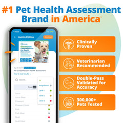 5Strands lab results report shows comprehensive gut health findings.