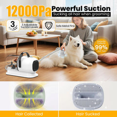 FIXR all-in-one dog grooming vacuum kit layout for grooming and cleaning