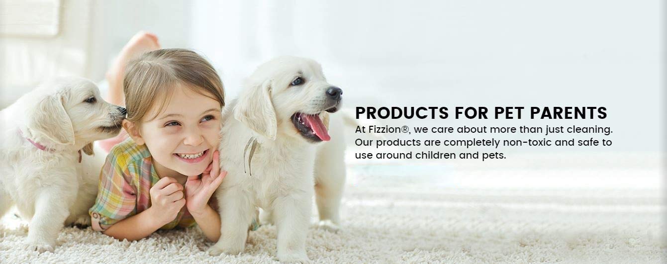 Fizzion clean stain-odor removal result shows refreshed, odor-free surfaces.