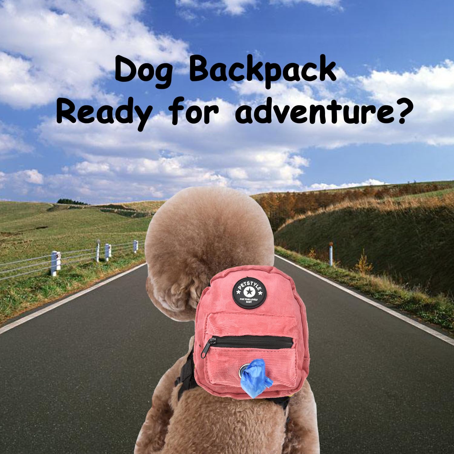 FLAdorepet breathable padded mesh back panel keeps your dog cool during activity