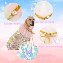 FLAdorepet cat princess dress model showcases cute party wear