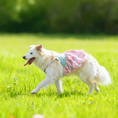 FLAdorepet dog dress 6XL pink floral detail, breathable cotton for warm days