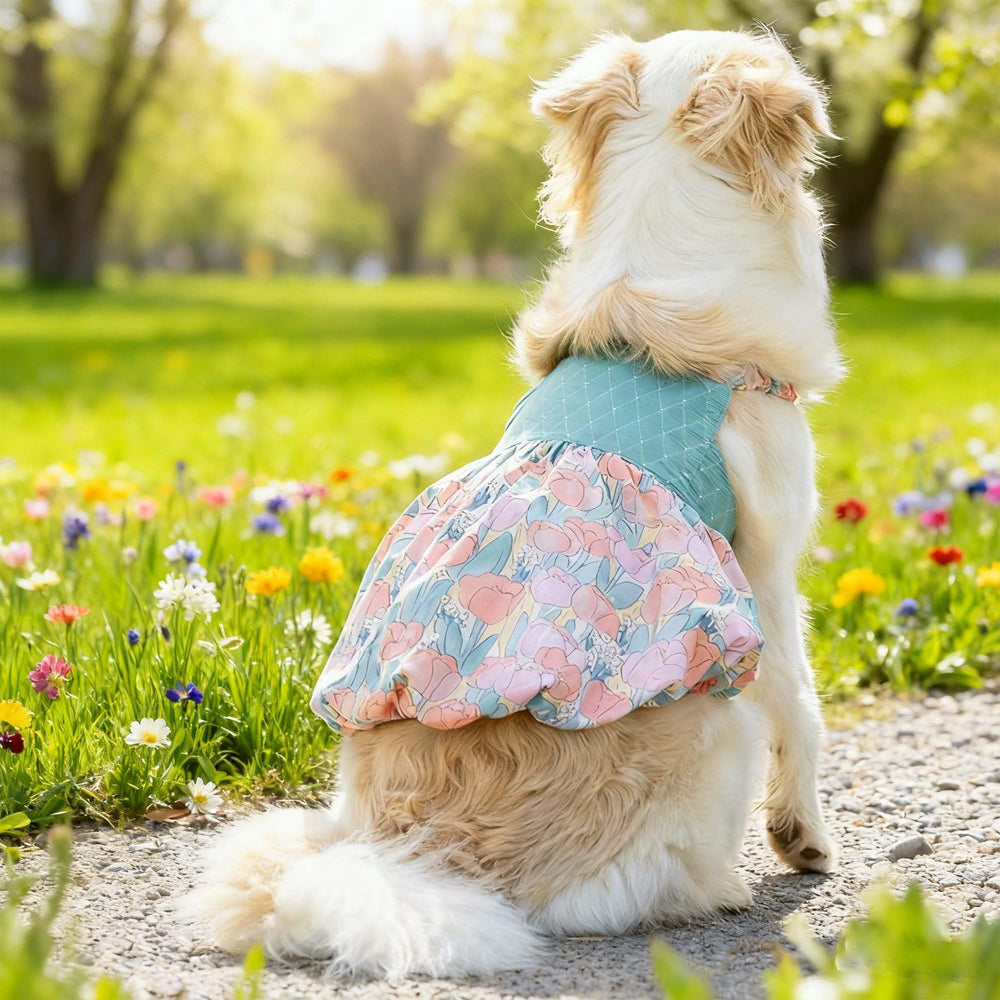FLAdorepet dog dress 6XL pink back view, shows comfortable all-day wear