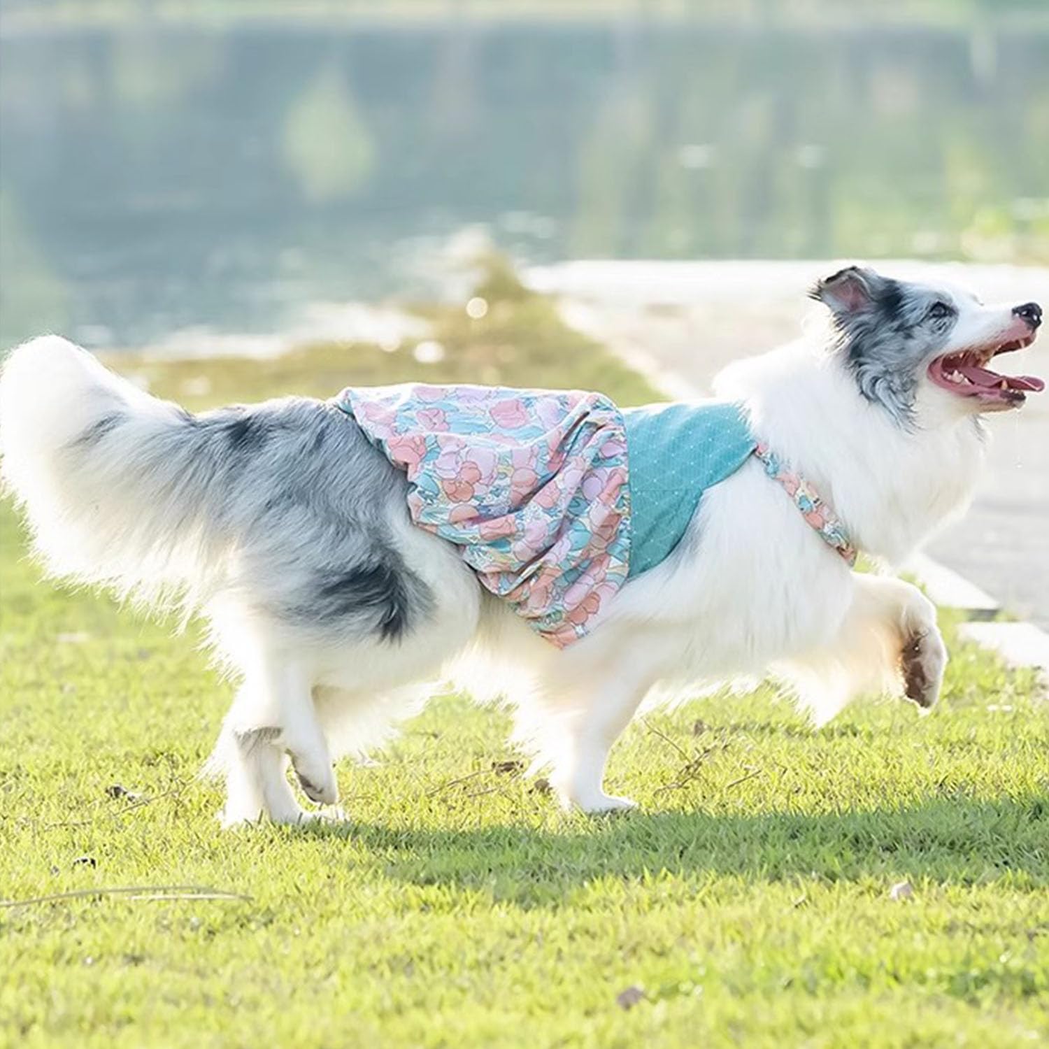FLAdorepet dog dress size guide visualizes 6XL chest measurement for proper fit