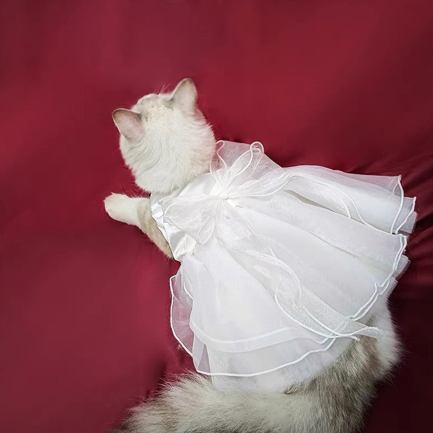 FLAdorepet dress suitable for indoor and outdoor celebrations