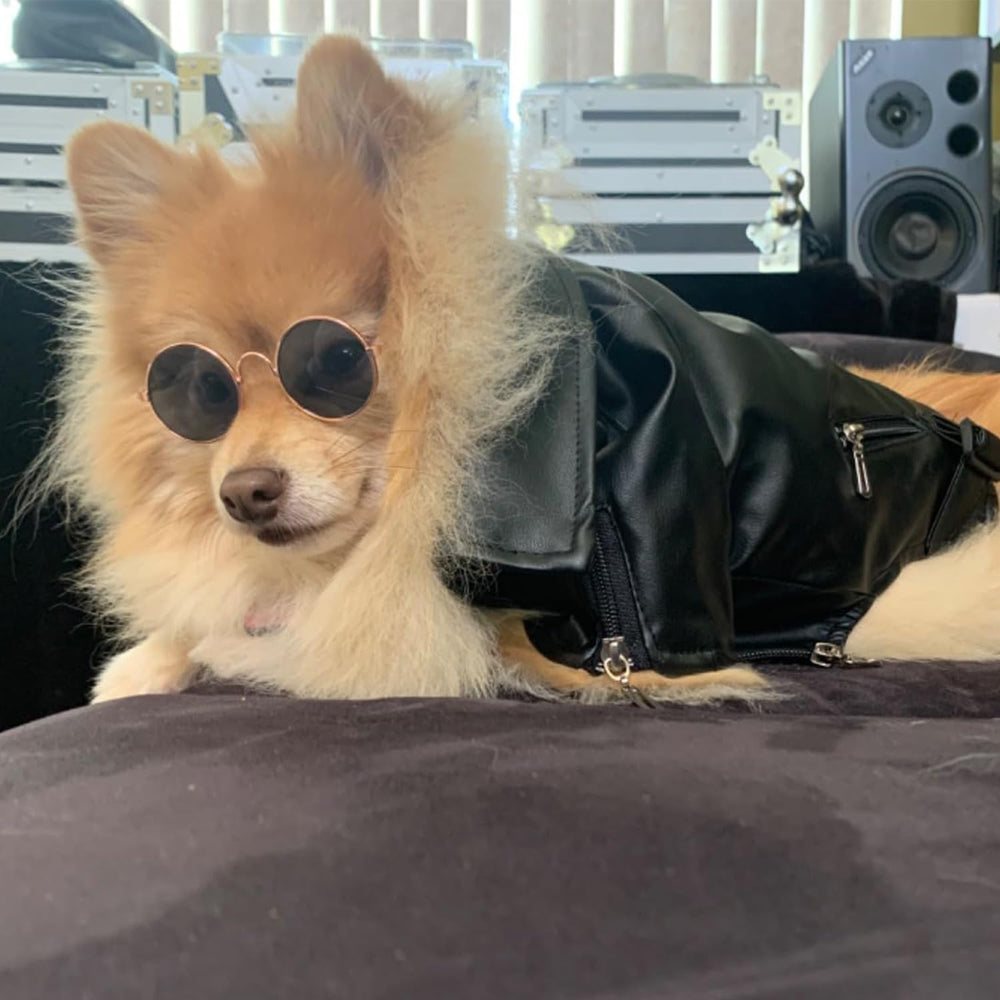 FLAdorepet Halloween rock-star dog costume with cool design for holiday photos