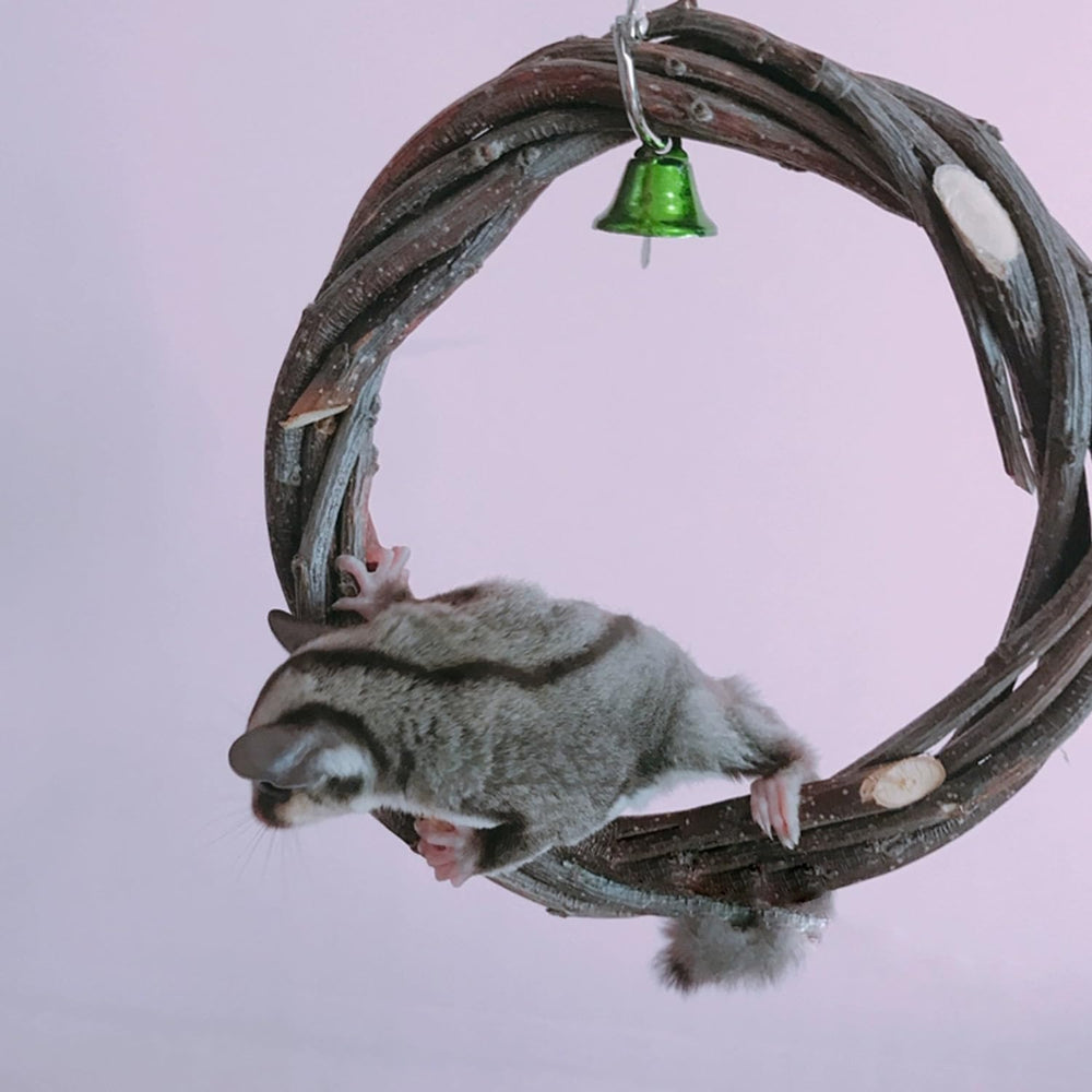 FLAdorepet hanging toy for cage enrichment and flexible setup.