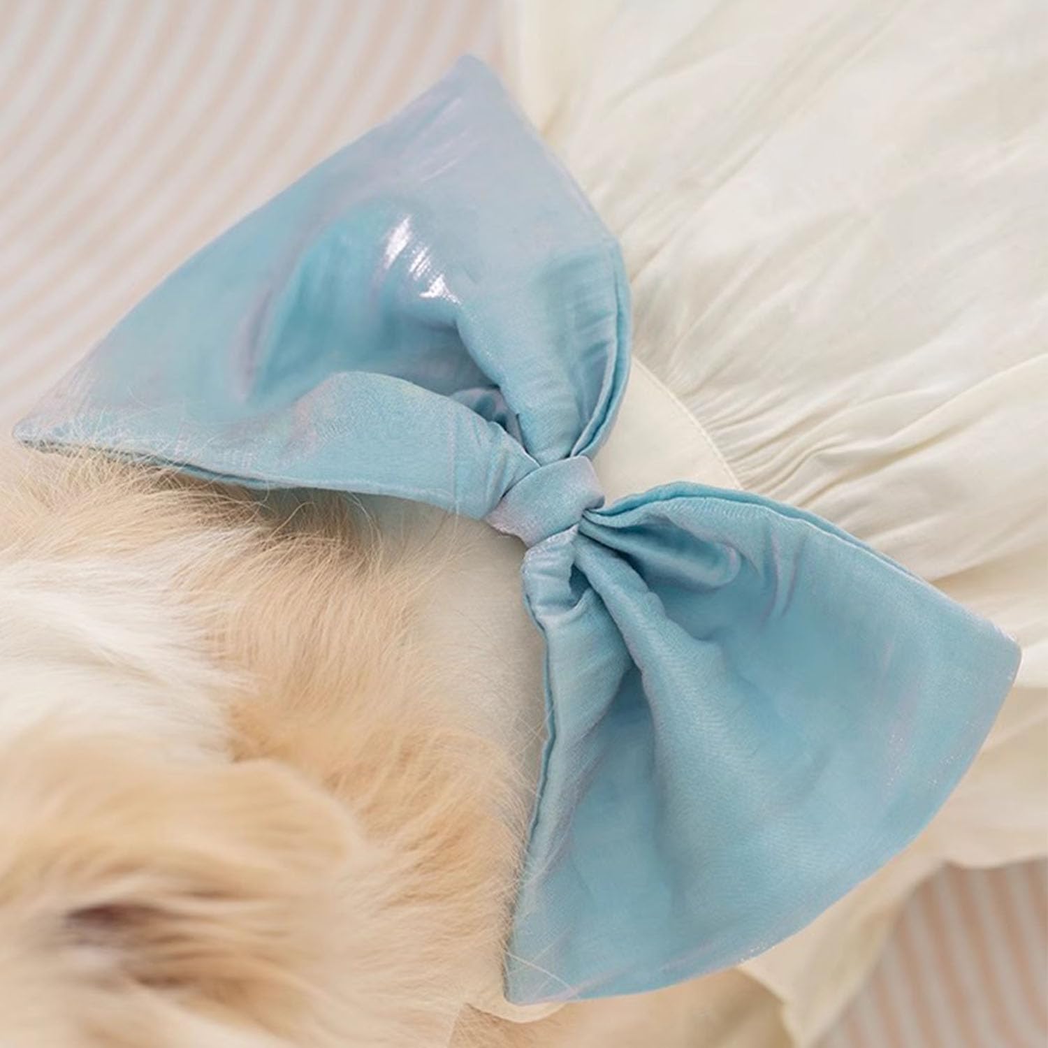FLAdorepet design helps contain pet hair in home and car.