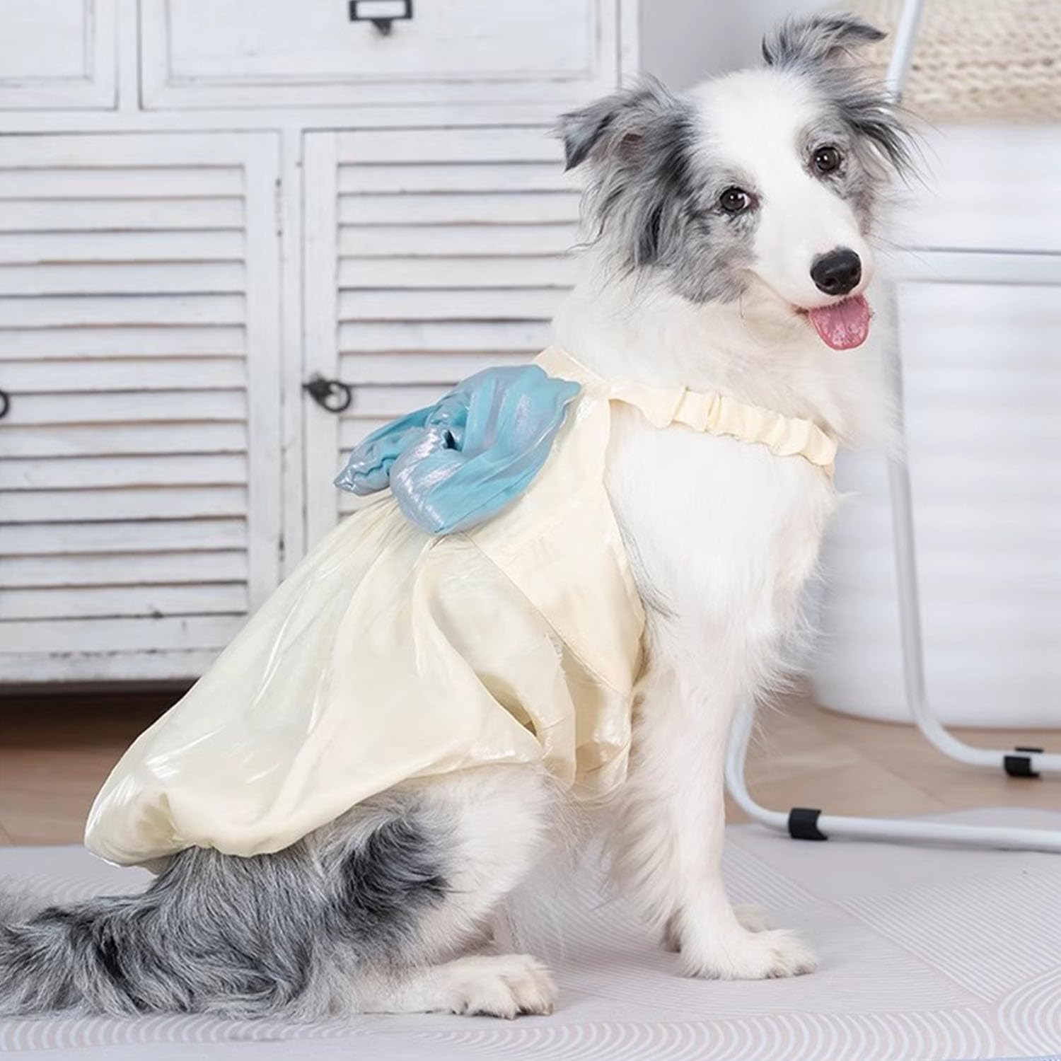 FLAdorepet princess dress for holiday weddings, adds charm in photos.