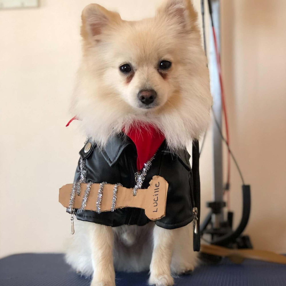 FLAdorepet size S fits small pets with measured chest and back for comfortable movement