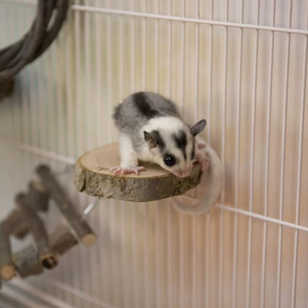 FLAdorepet small-pets climb and swing set for interactive enrichment.