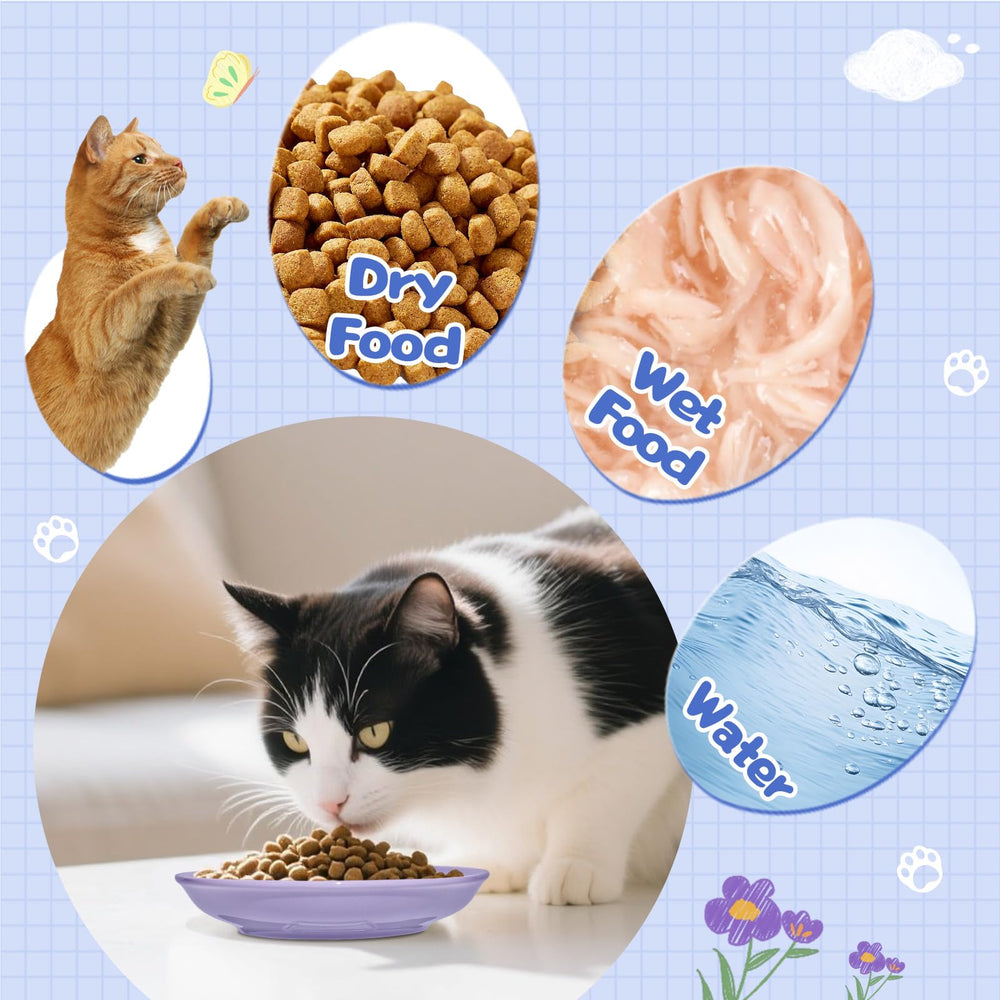 FlaggeZG 5.9-inch shallow dish image highlights whisker-friendly design for calm meals.