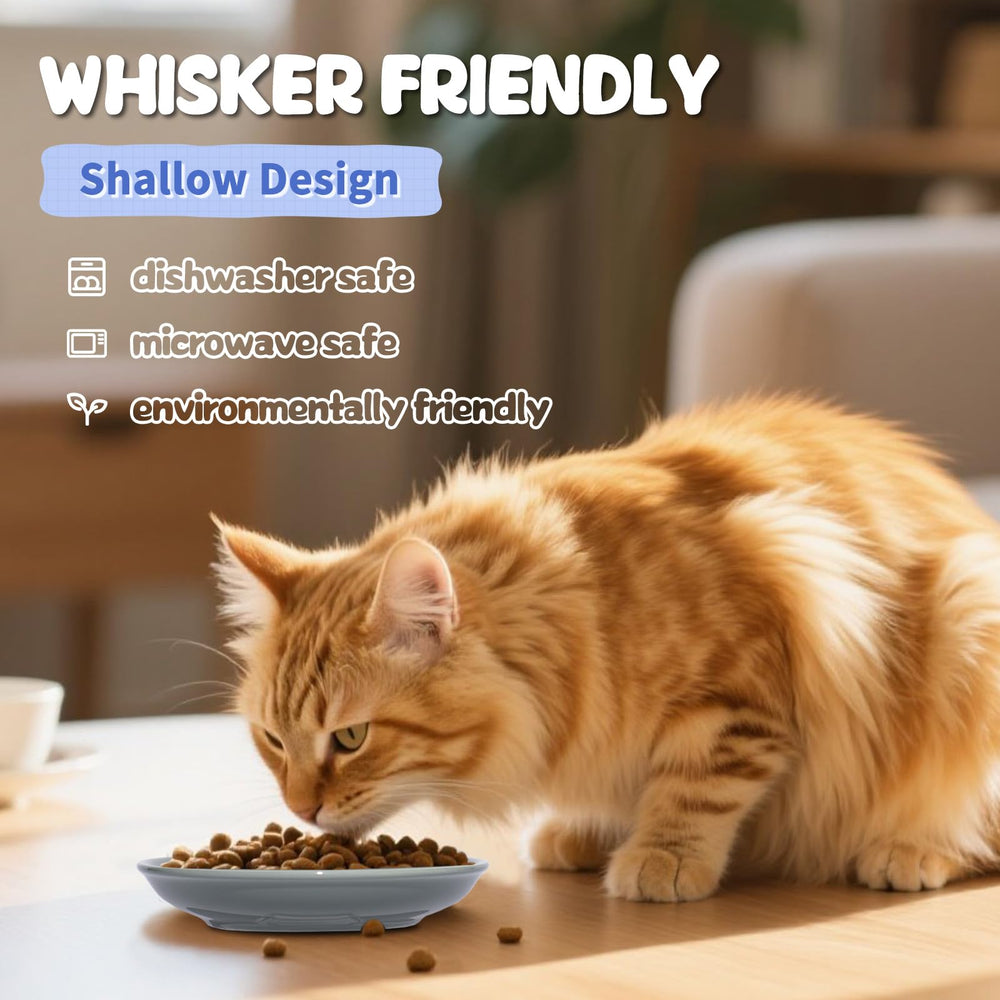FlaggeZG easy-clean ceramic bowls image showcases smooth surface for quick washing.