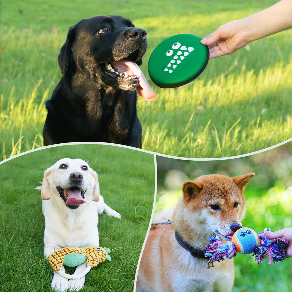 Flair Gifts gift box doubles as storage for puppy toys.