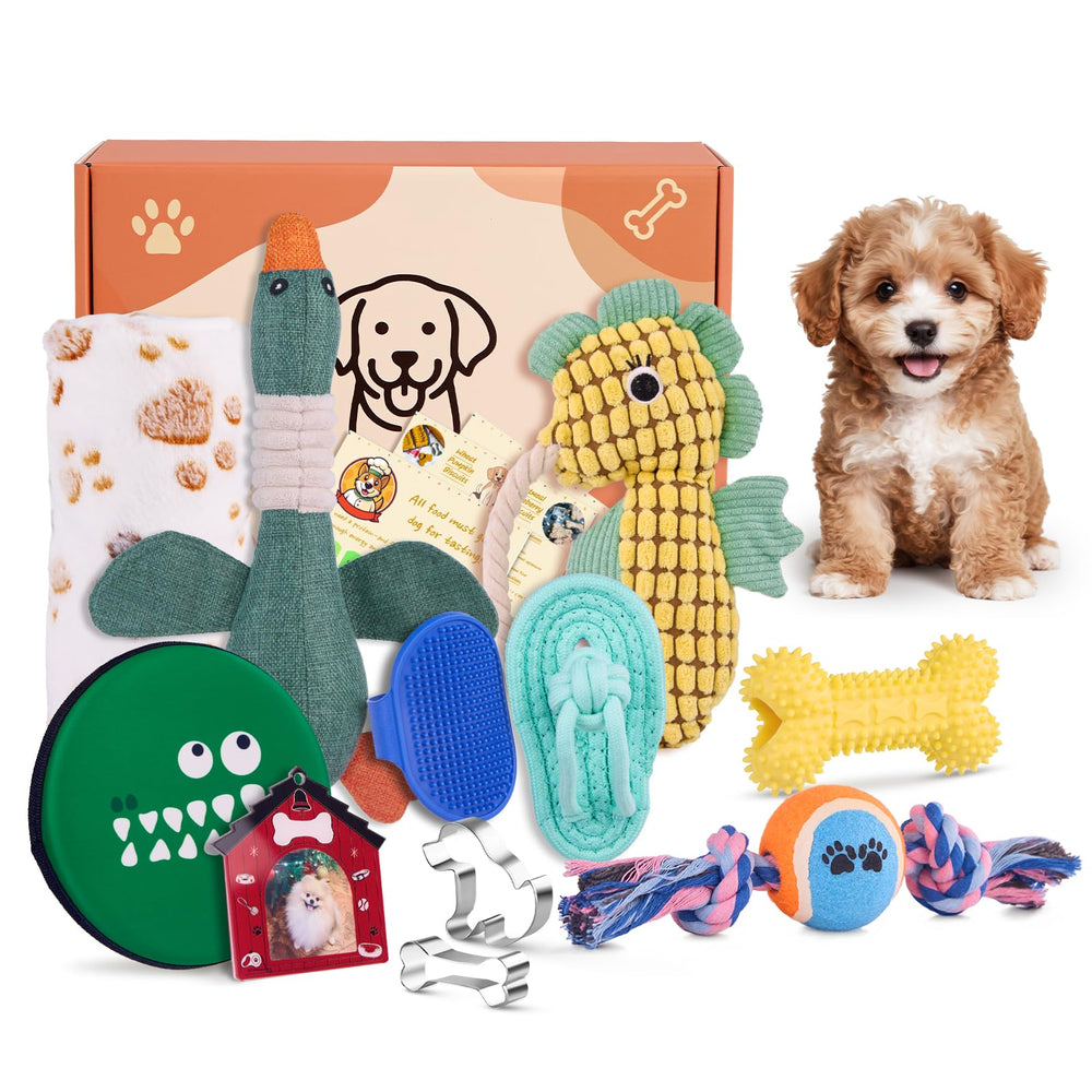 Flair Gifts Welcome Puppy Starter Kit unboxing reveals a cozy, engaging first-week setup for a new puppy.