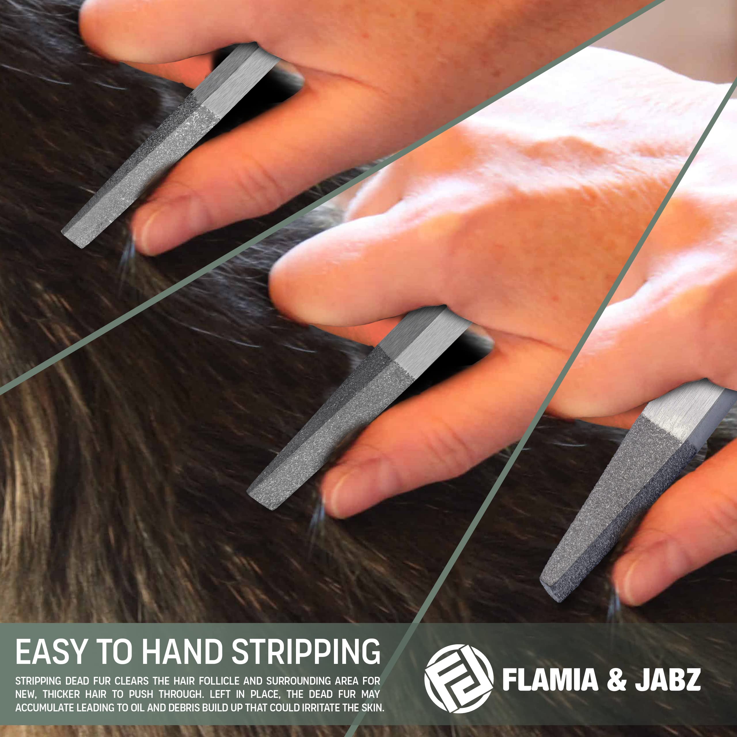Flamia & Jabz detail work around eyes and ears demonstrates precision grooming.