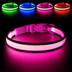 Flashseen LED dog collar bright glow enhances nighttime visibility