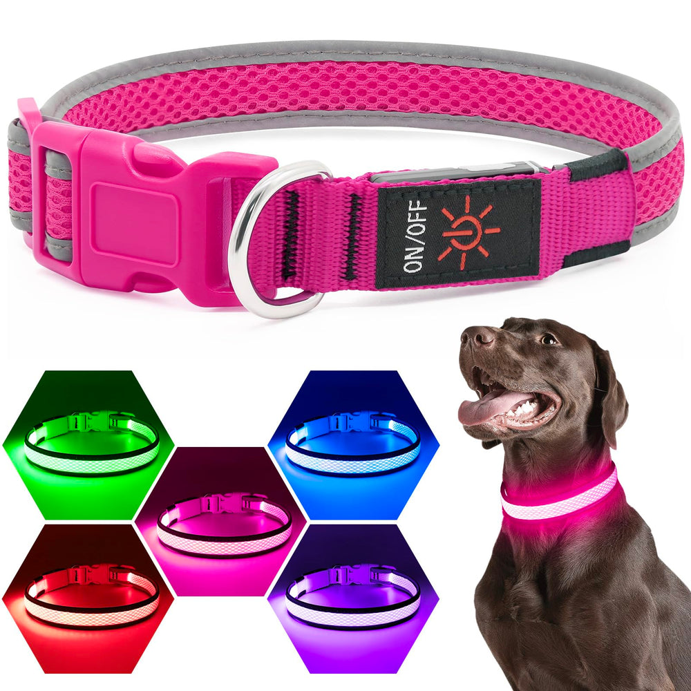 Flashseen LED dog collar with metal D-ring for easy leash attachment