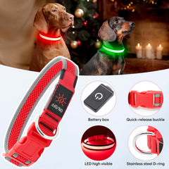 Flashseen LED dog collar close-up of switch with quick glow options
