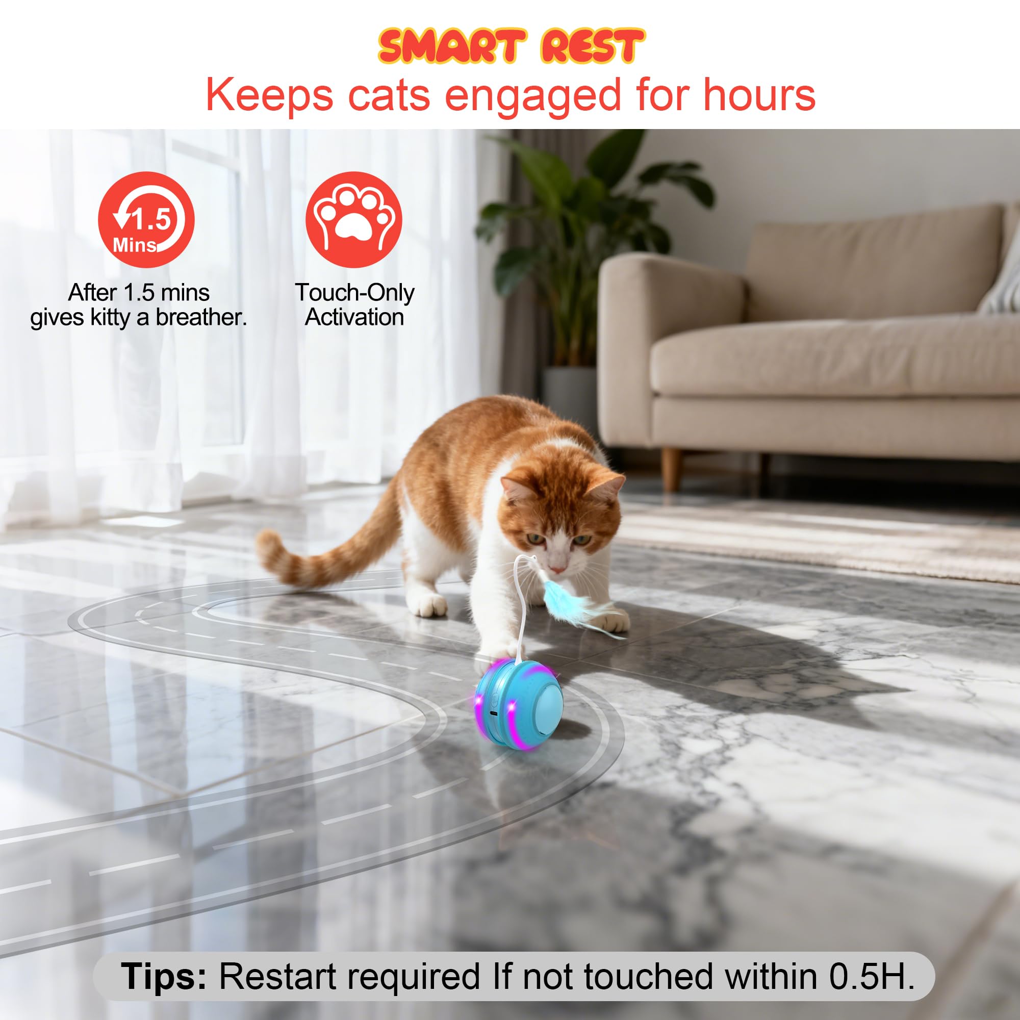 FLERDMAU multi-cat friendly blue toy invites shared play.