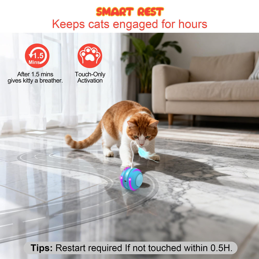 FLERDMAU multi-cat friendly blue toy invites shared play.
