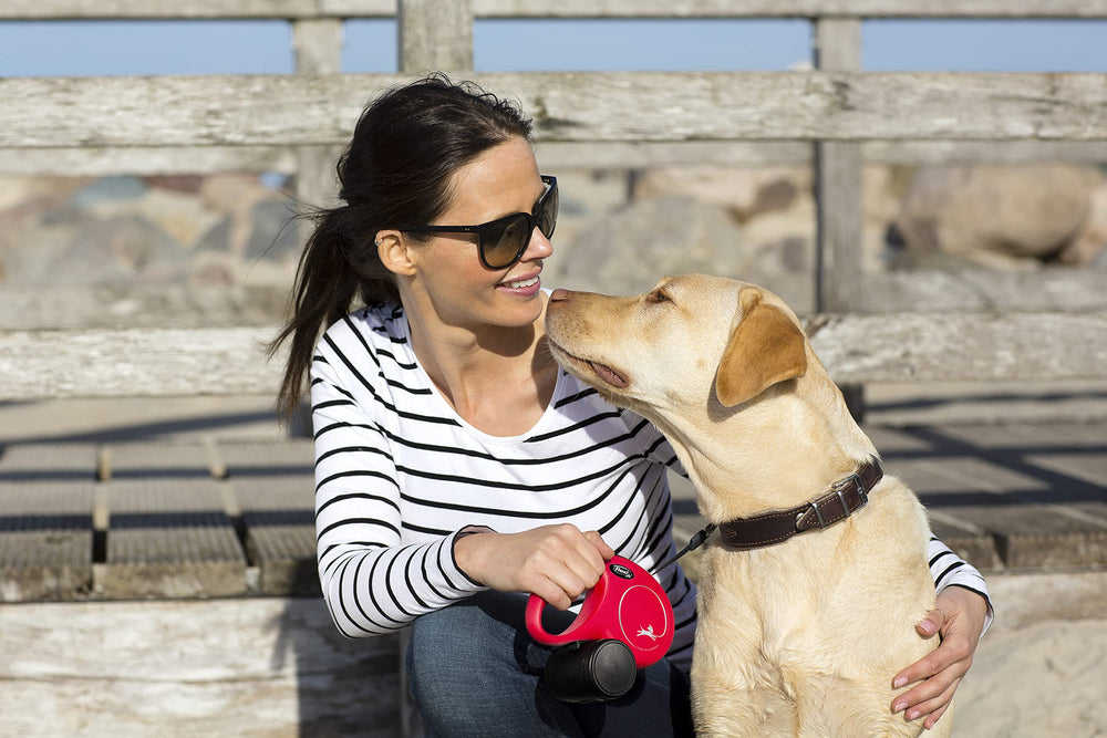 FLEXI New Classic tape leash ideal for daily dog walks with confidence