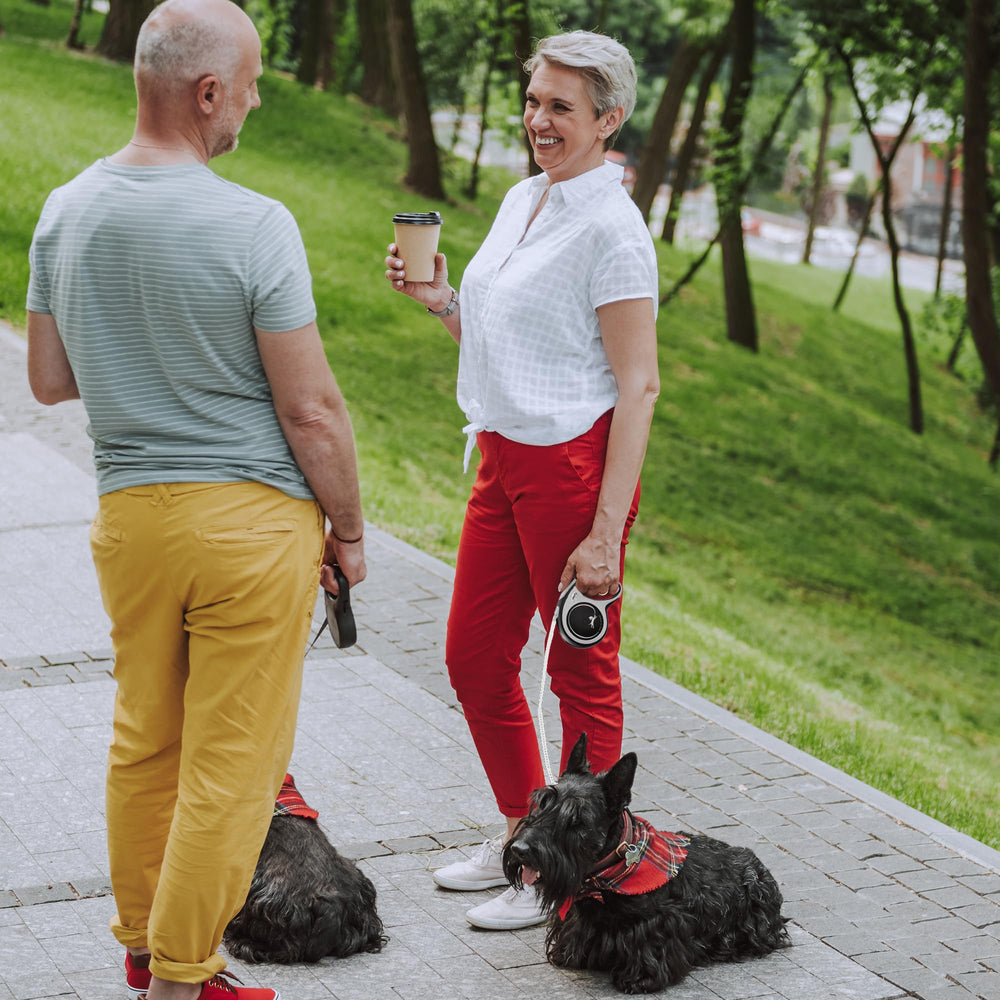 FLEXI small-dog fit demonstration for secure, comfortable walking.
