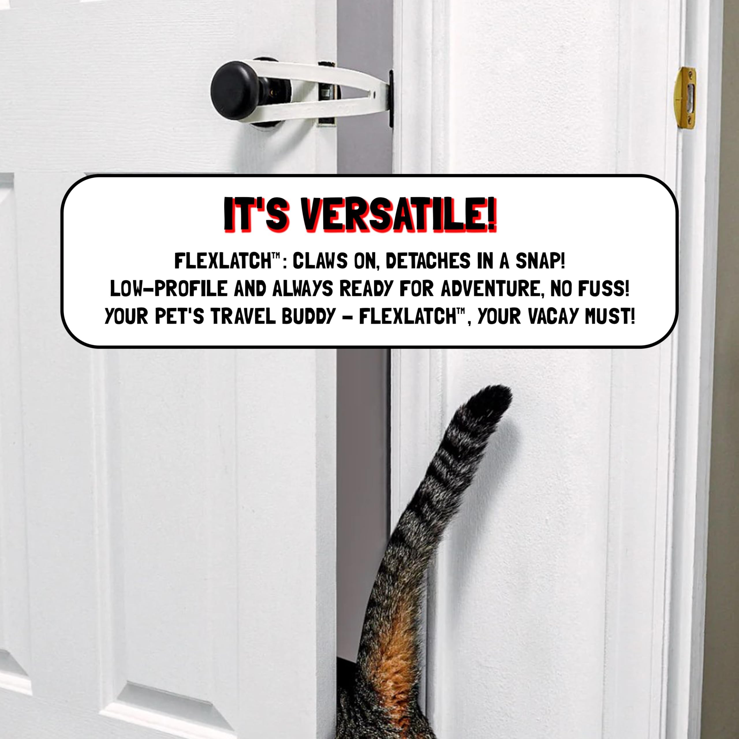 FlexLatch matte black strap on door edge demonstrates durability.