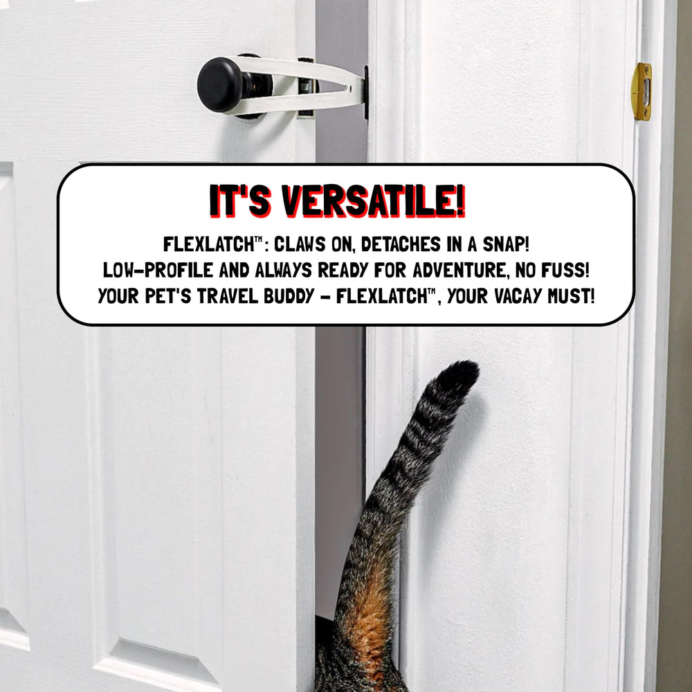 FlexLatch matte black strap on door edge demonstrates durability.