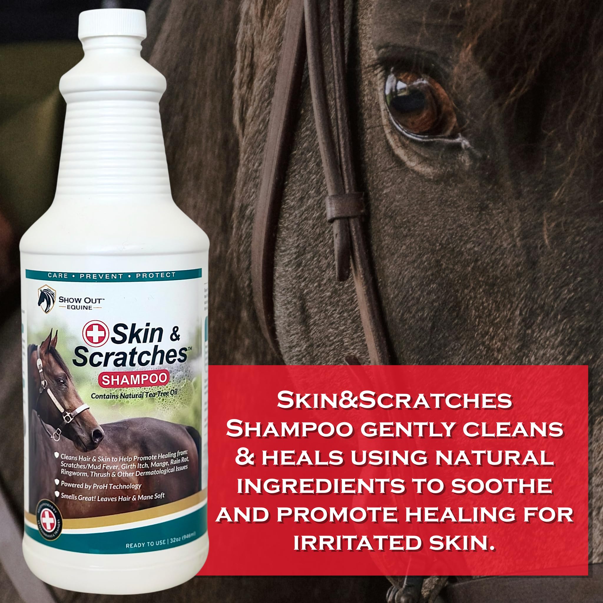 FlexTran Show Out Skin Pack air-dry time after spraying on horse.