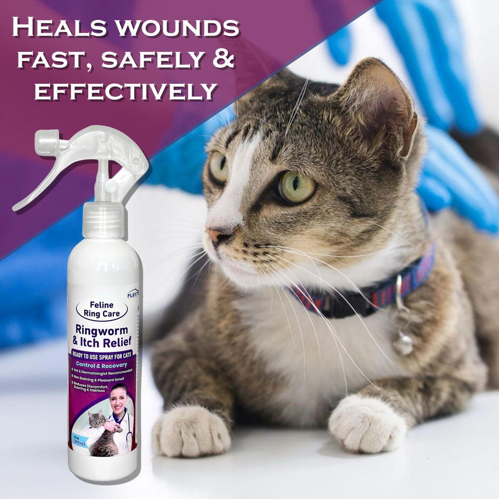FlexTran Feline Ring Care ringworm control spray on affected area for coverage.