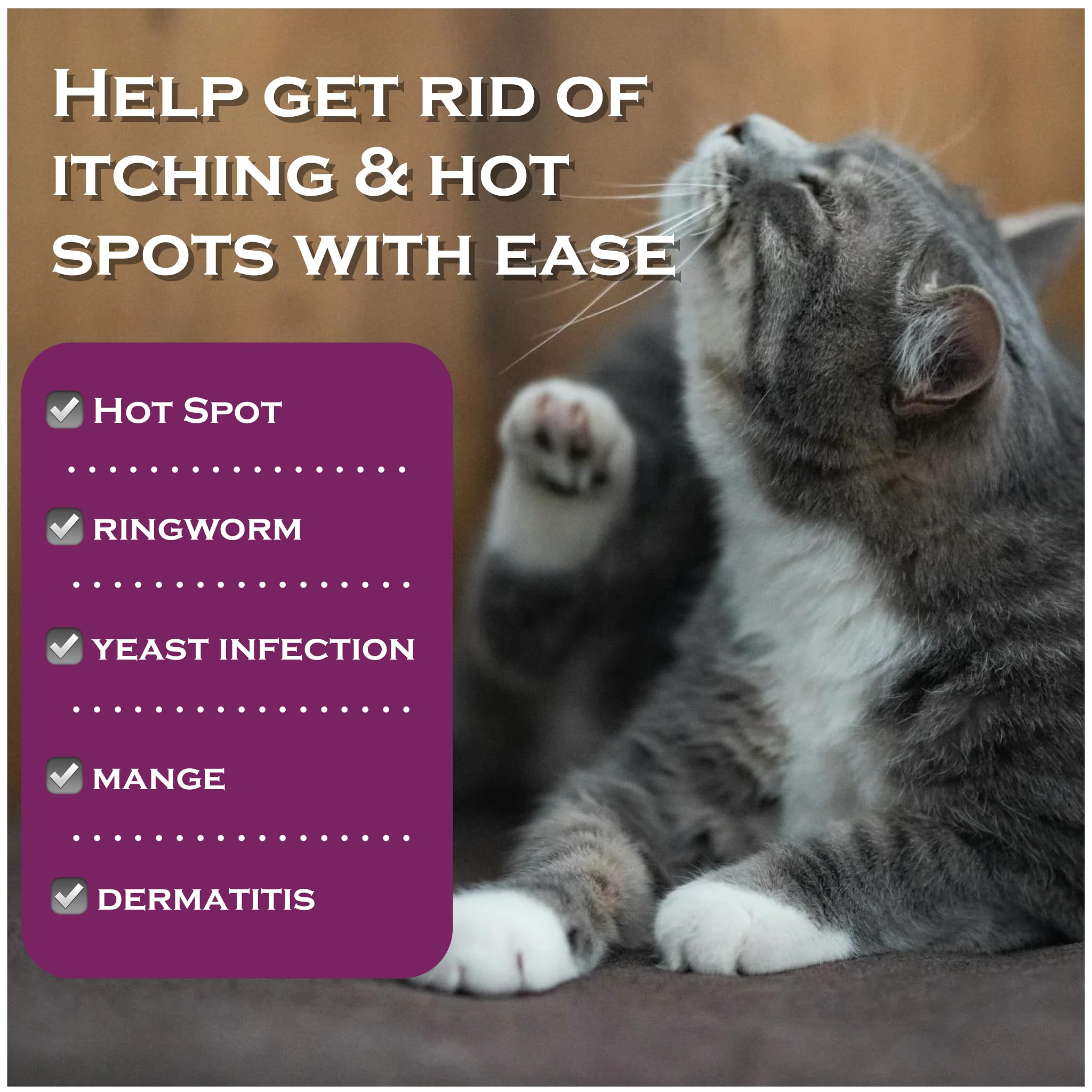 Small pets use setup showing FlexTran Feline Ring Care versatility